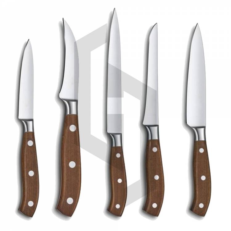 Kitchen General use knifes Set